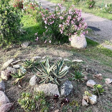 Stazzo La Foci Soluzioni Vista Mare Villa Aglientu Exteriör bild